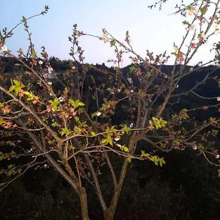 Polystylohill شقة *