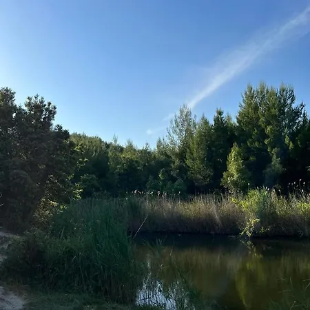 Lägenhet Polystylohill