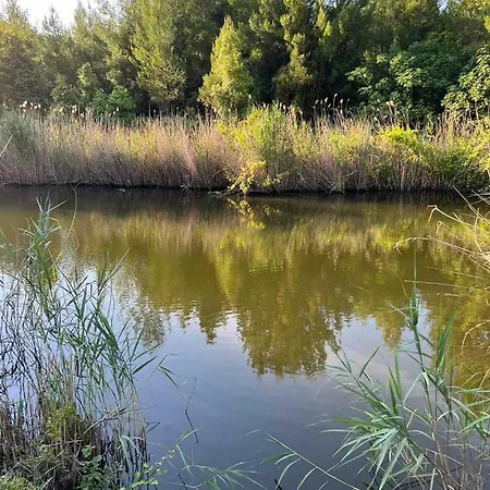Διαμέρισμα Polystylohill Πολύχρονο
