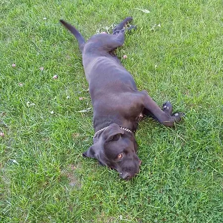 Polystylohill Πολύχρονο