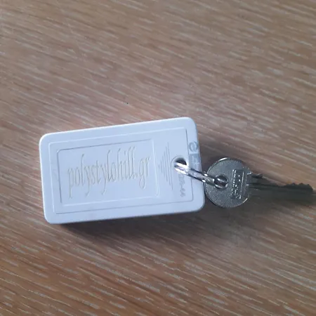 Polystylohill بوليخرونو