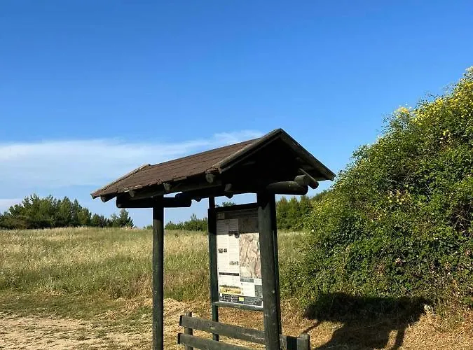 Polystylohill * Полихроно