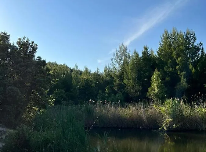 Lägenhet Polystylohill