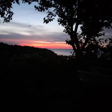 Polystylohill * Polychrono