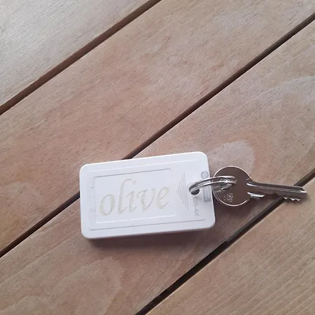 Apartament Polystylohill *